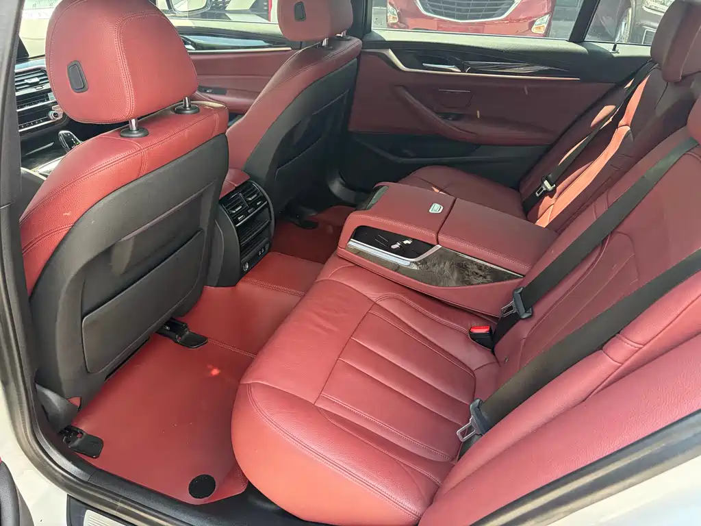 BMW 5 Series 5 2020 530Li xDrive M Sport