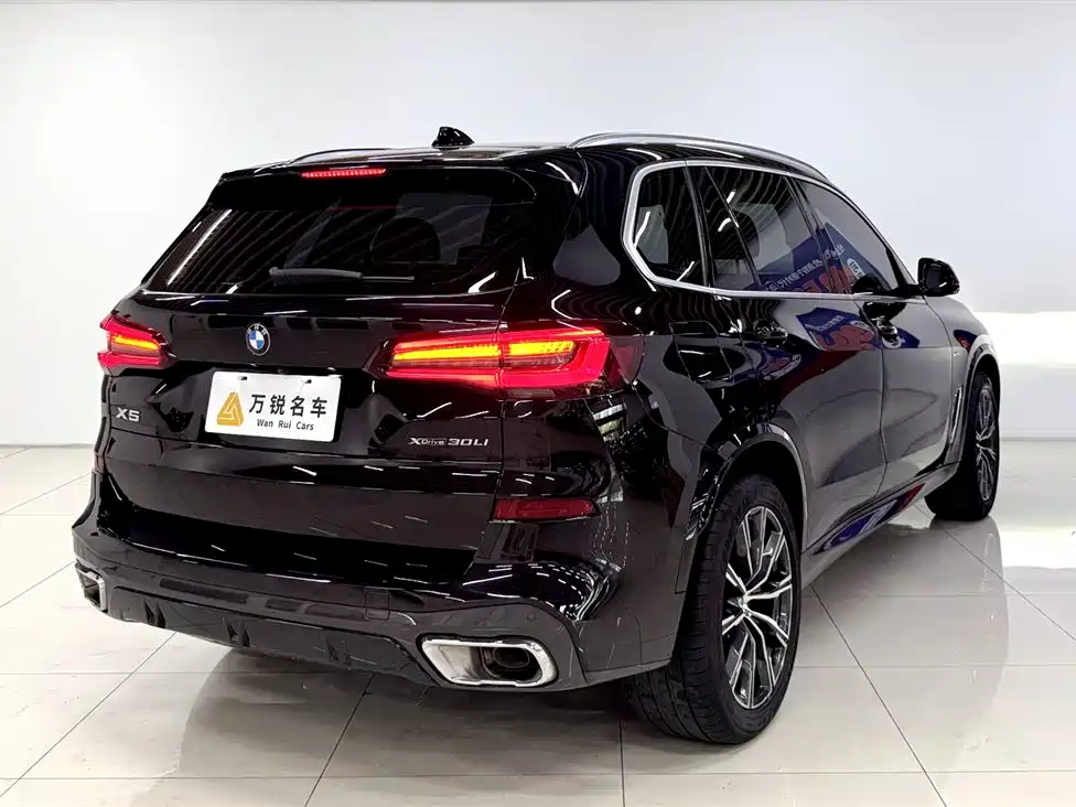BMW X5 2022 xDrive 30Li Premium M Sport