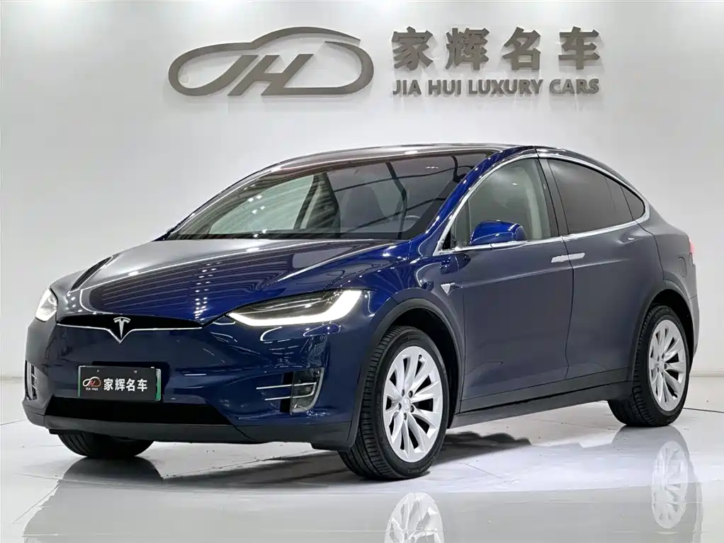 Tesla Model X 2017 Model X 100D Long Range Edition