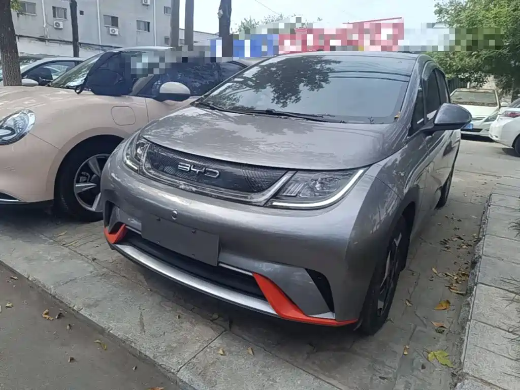 BYD Dolphin