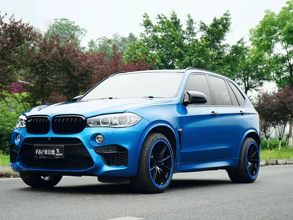 BMW X5 M 2015 X5 M