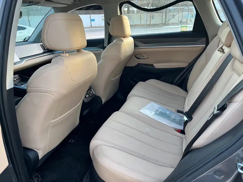 BYD SONGJIANG NEW ENERGY