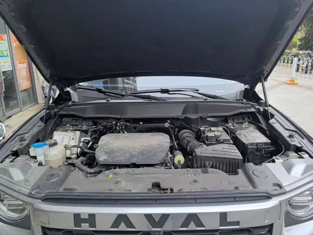 Haval 长城大狗 — миниатюра 20