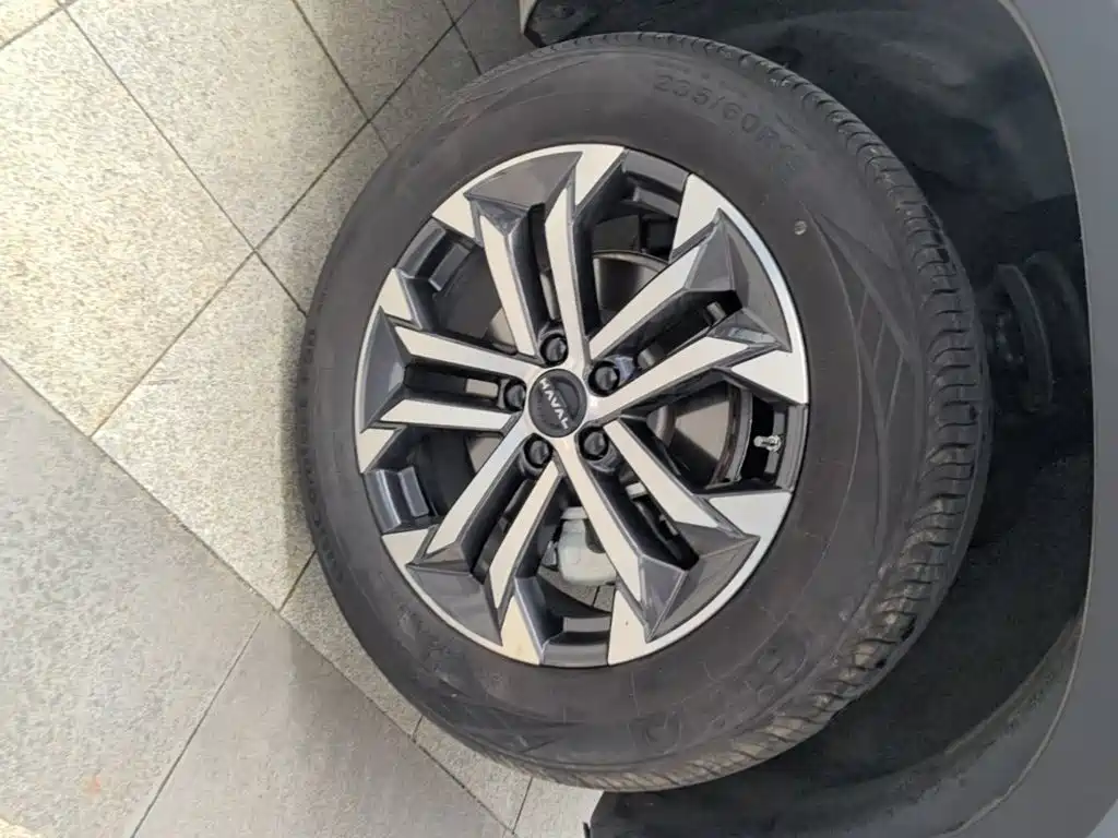 Haval 长城大狗 — миниатюра 23