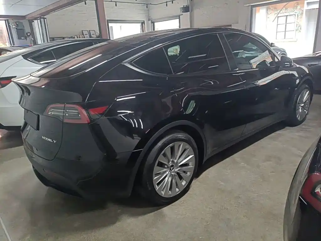 Tesla Model Y — миниатюра 6