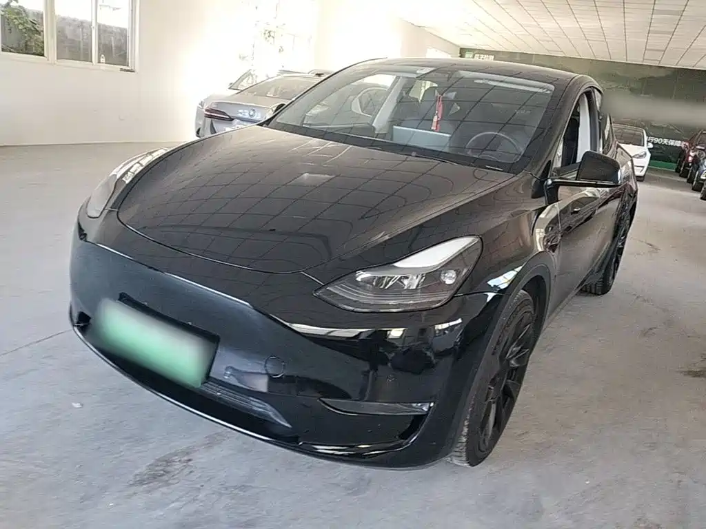Tesla Model Y — миниатюра 2