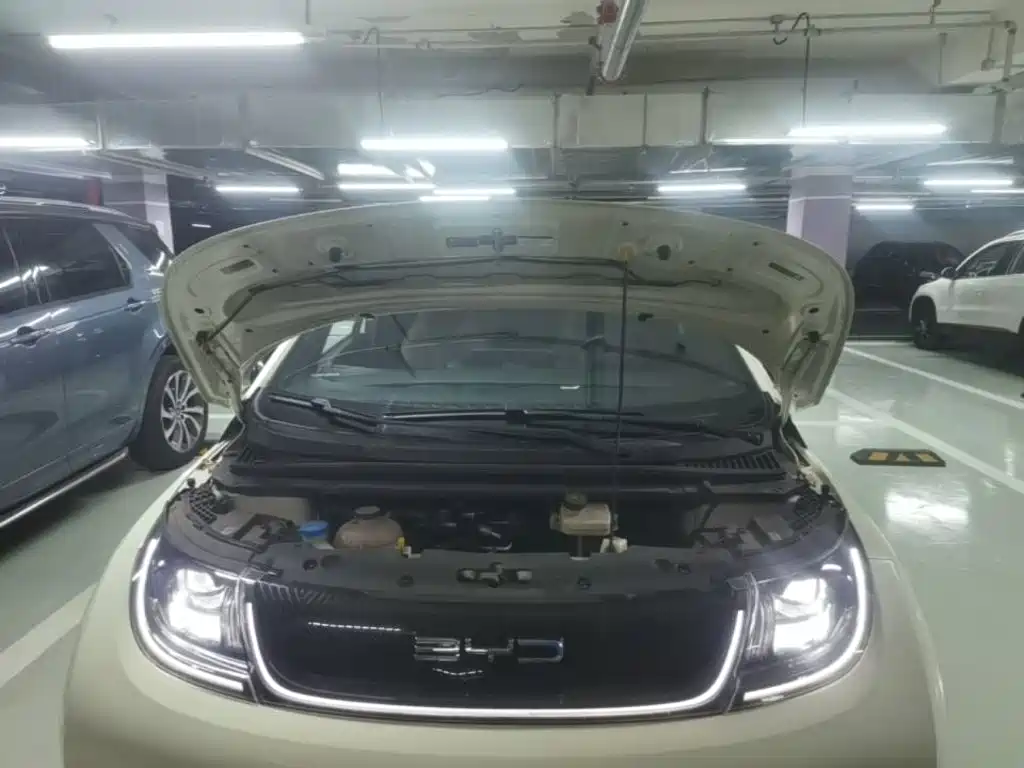 BYD Dolphin — миниатюра 20