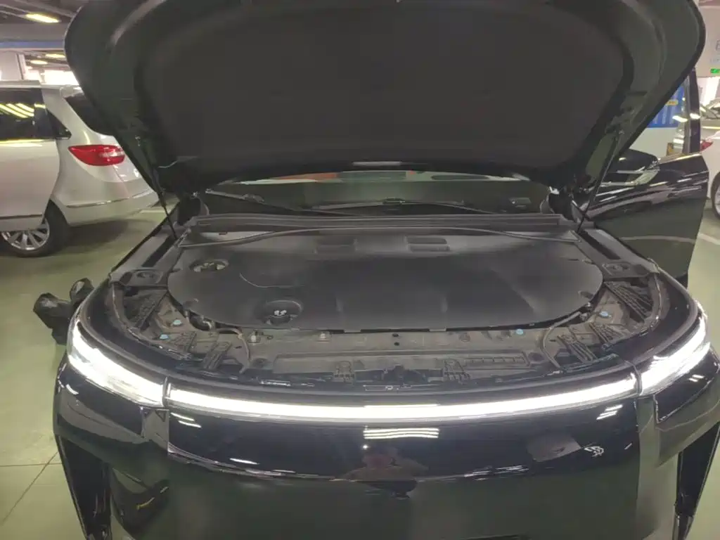 GAC Motor Trumpchi Xiangwang S9 — миниатюра 20