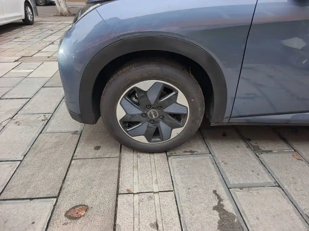 BYD Dolphin — миниатюра 23