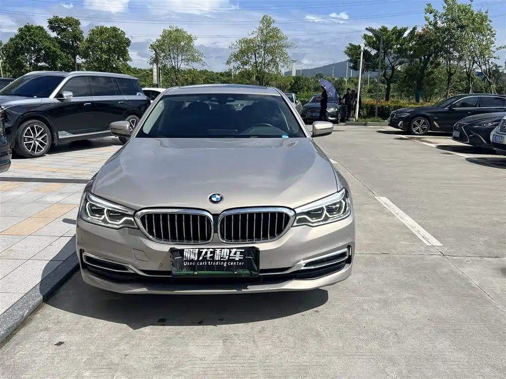 BMW 5 Series 5 2019 530Le Luxury