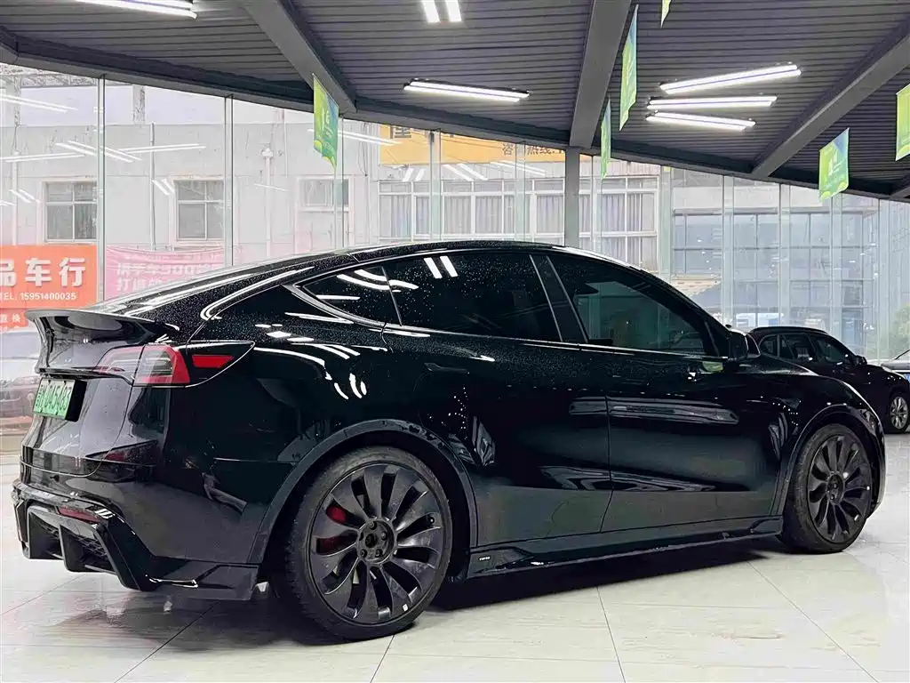 Tesla Model Y — миниатюра 6