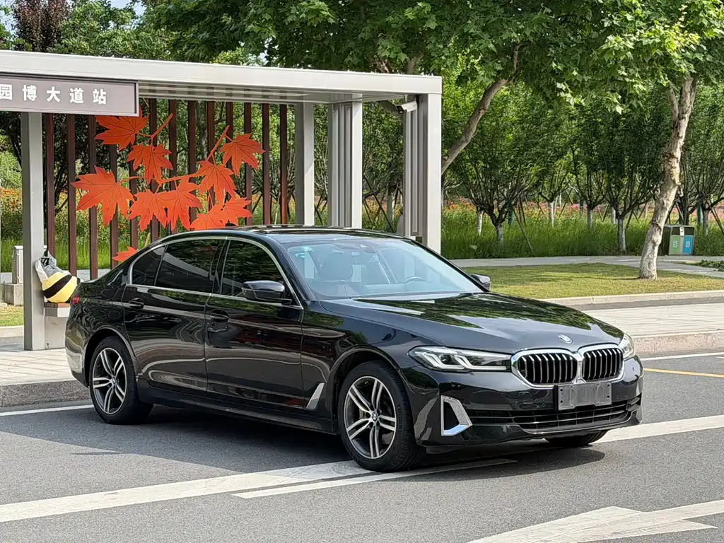 BMW 5 Series — миниатюра 3