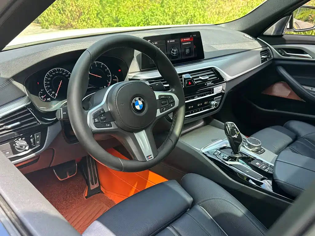 BMW 5 Series (Import) — миниатюра 8