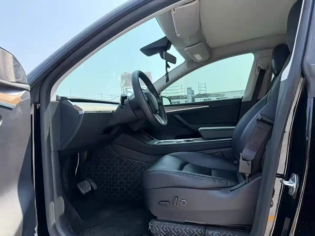 Tesla Model Y — миниатюра 7