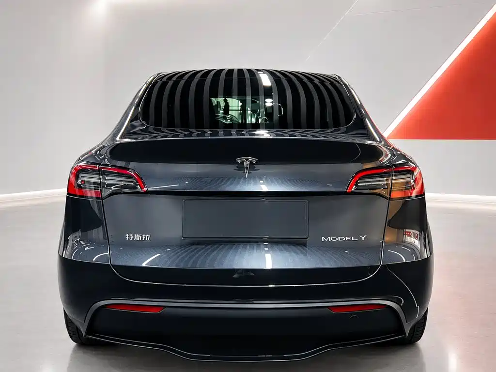 Tesla Model Y 2024 — фото 5