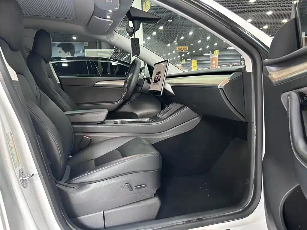 Tesla Model Y — миниатюра 6