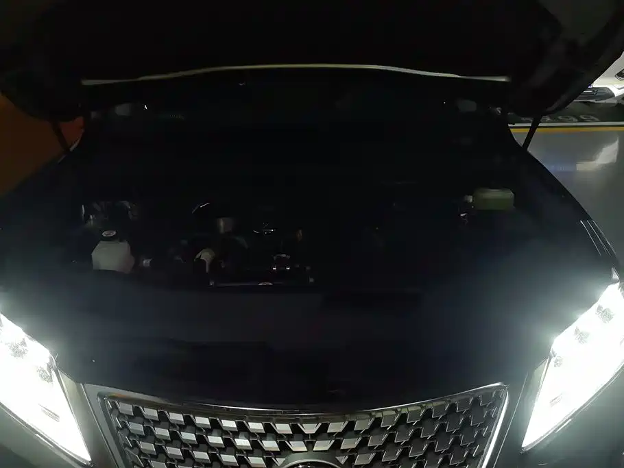 Lexus RX 2021 300