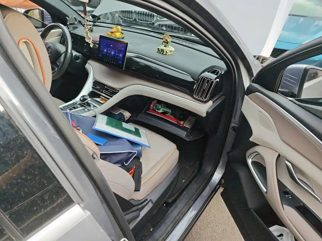 BYD Pro New Energy — миниатюра 19