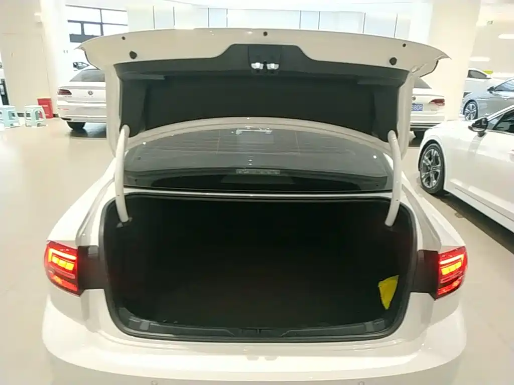 Volkswagen Lamando — миниатюра 19