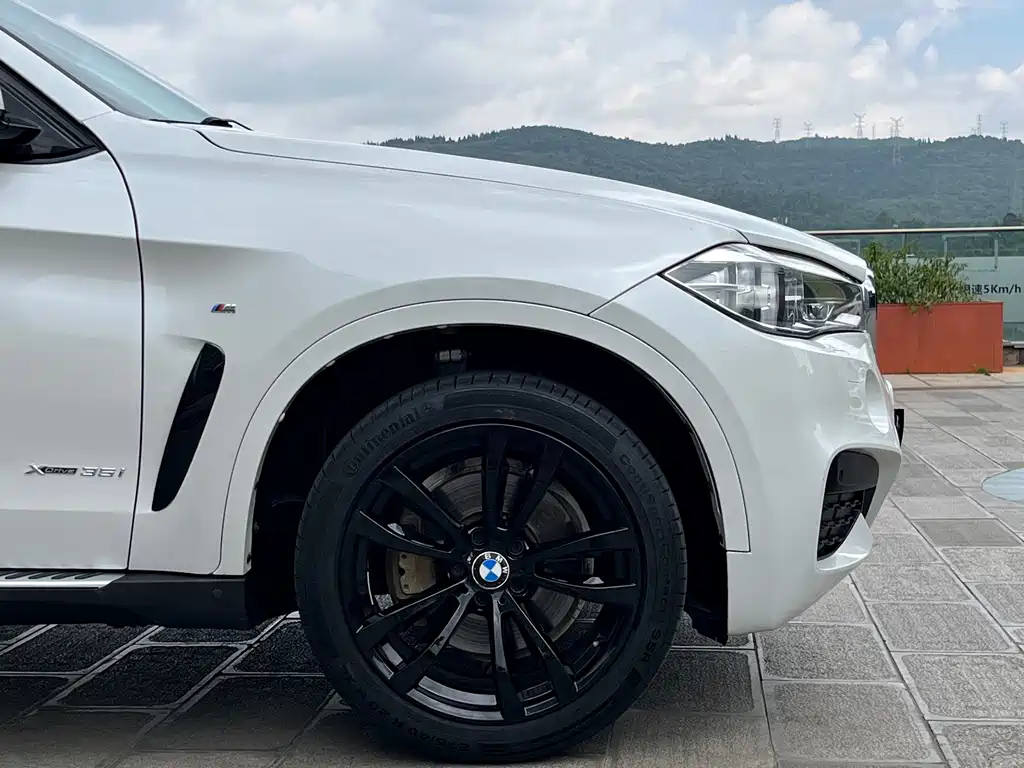 BMW X6 — миниатюра 22