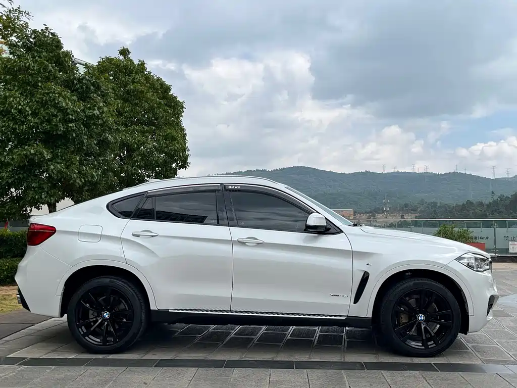 BMW X6 — миниатюра 23