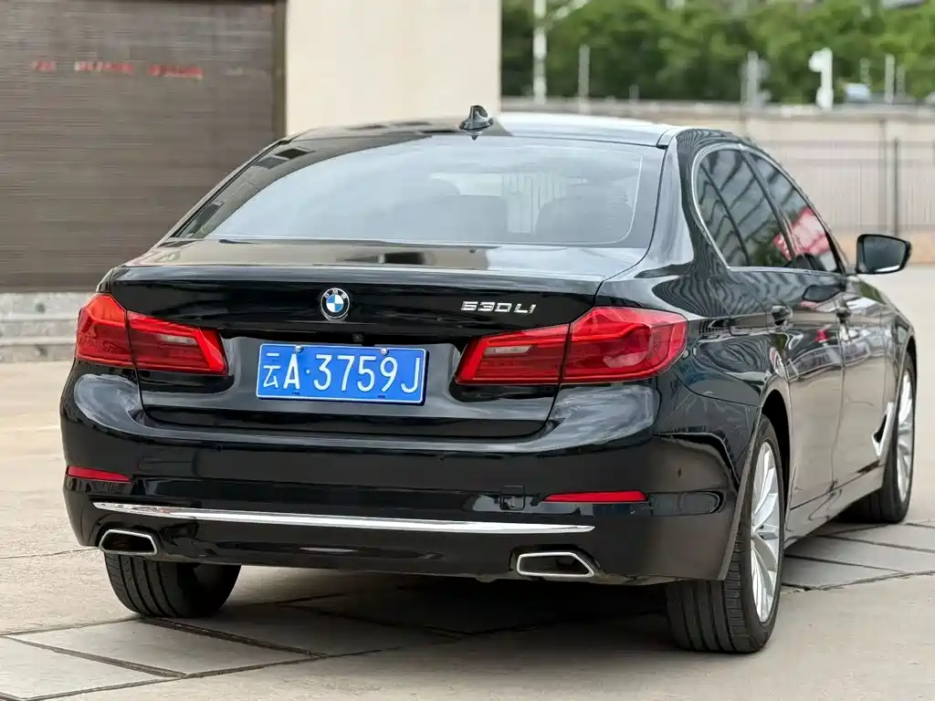BMW 5 Series 5 2020 530Li Premium Luxury
