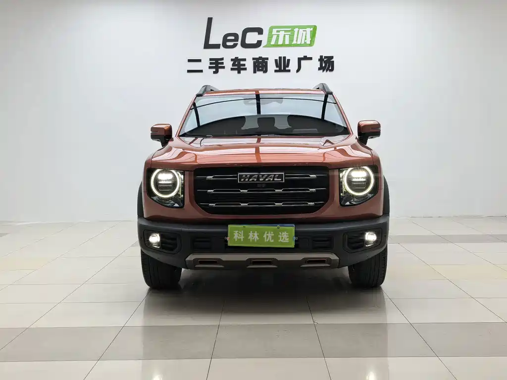Haval 长城大狗 — миниатюра 5