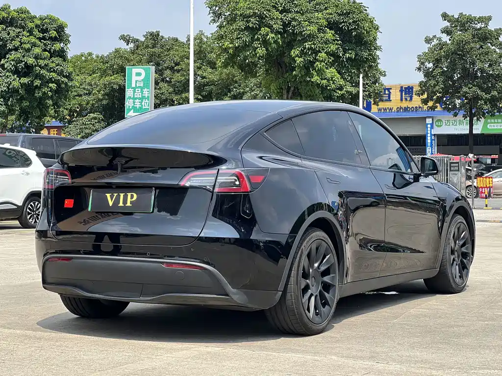 Tesla Model Y — миниатюра 14