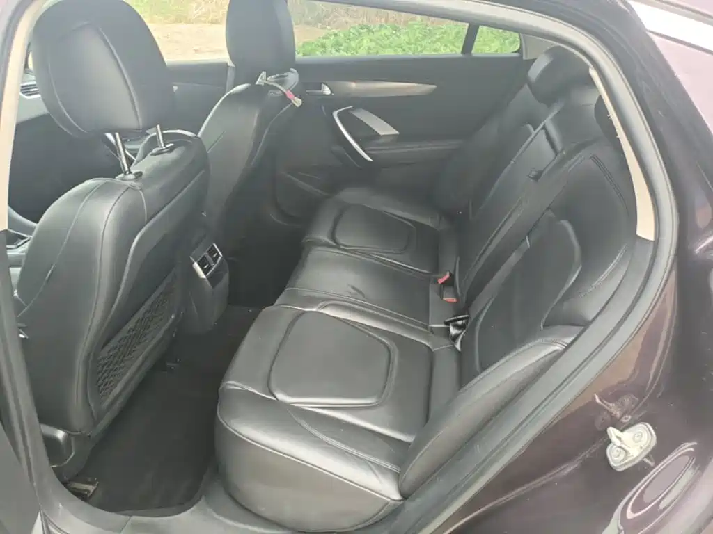DS DS 5LS — миниатюра 17