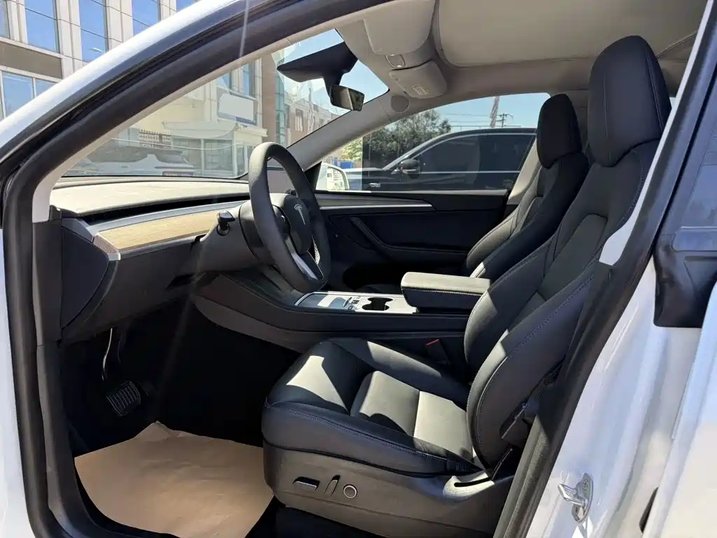 Tesla Model Y — миниатюра 4