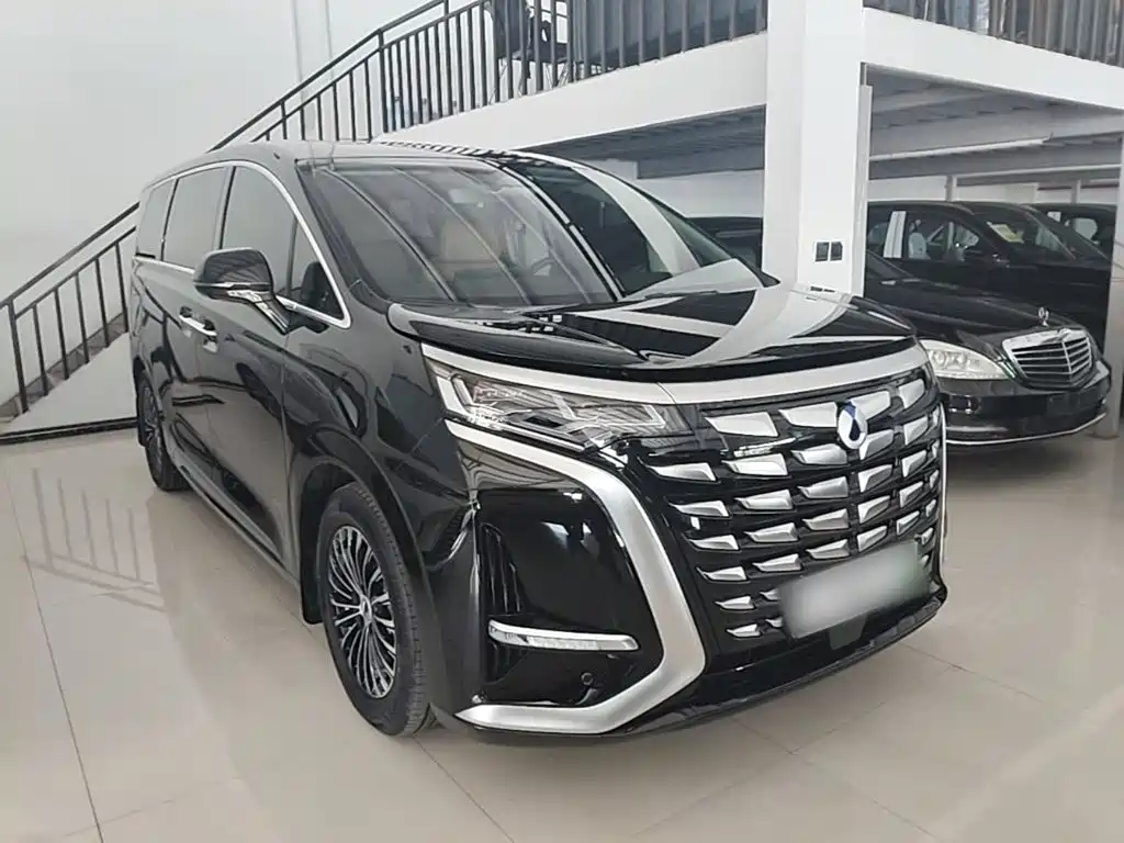 Denza D9 2024 DM-i 980 Luxury