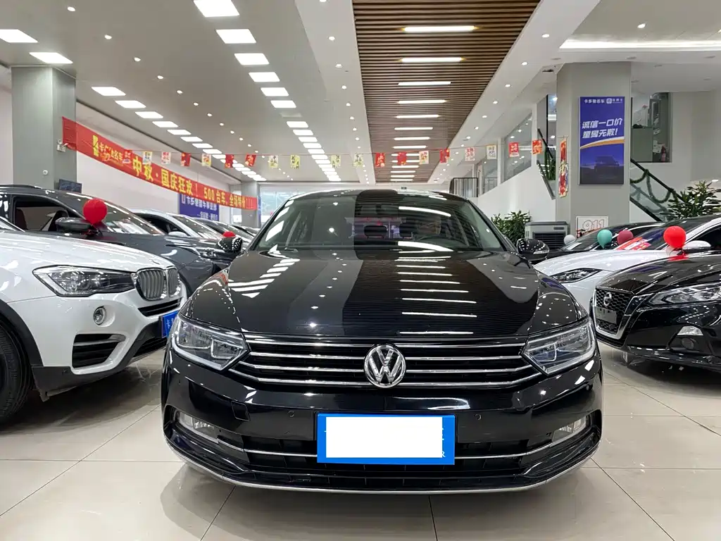 Volkswagen Magotan — миниатюра 2