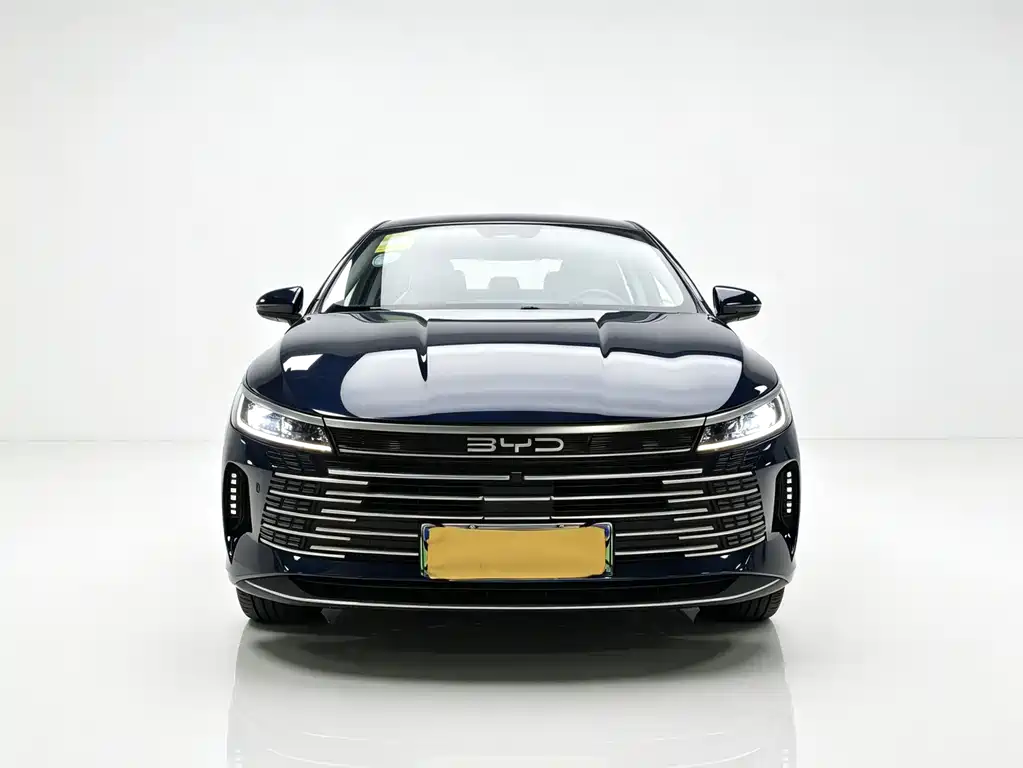 BYD Destroyer 05 2024 DM-i 55KM Luxury