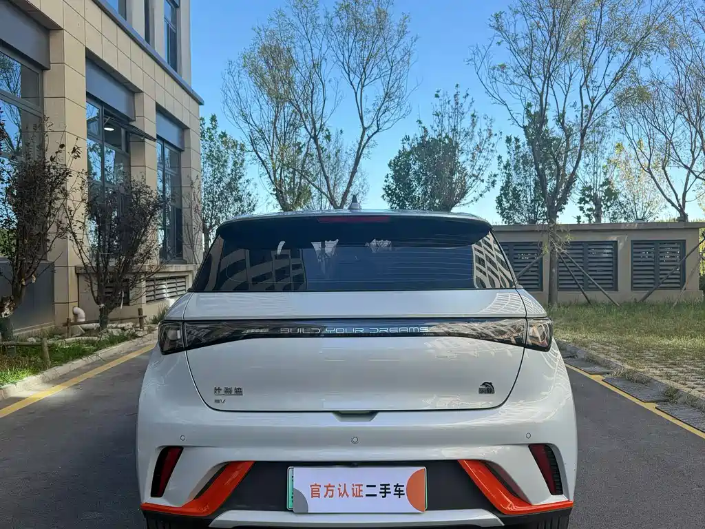 BYD Dolphin — миниатюра 8