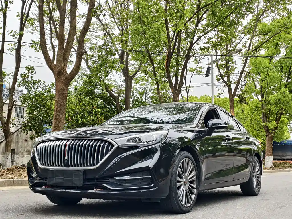 Hongqi Hongqi H5 2021