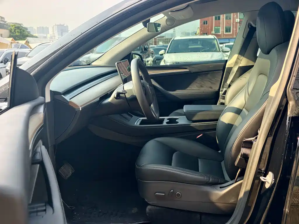 Tesla Model Y — миниатюра 8