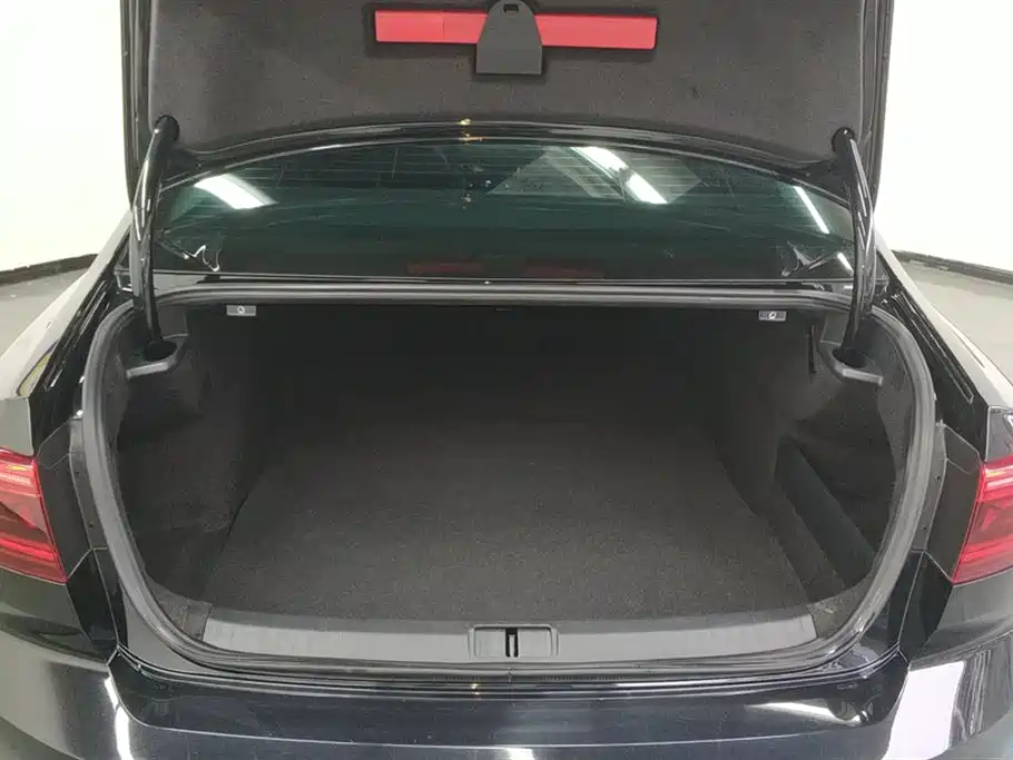 Volkswagen Magotan 2020 330TSI DSG Lead