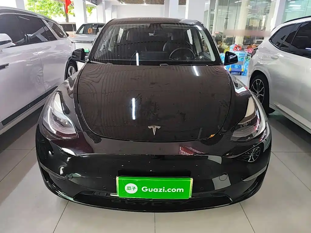Tesla Model Y — миниатюра 3