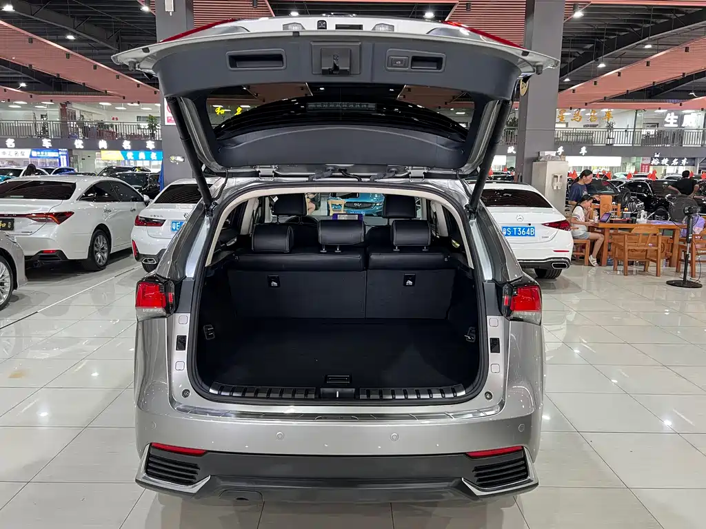 Lexus NX — миниатюра 14