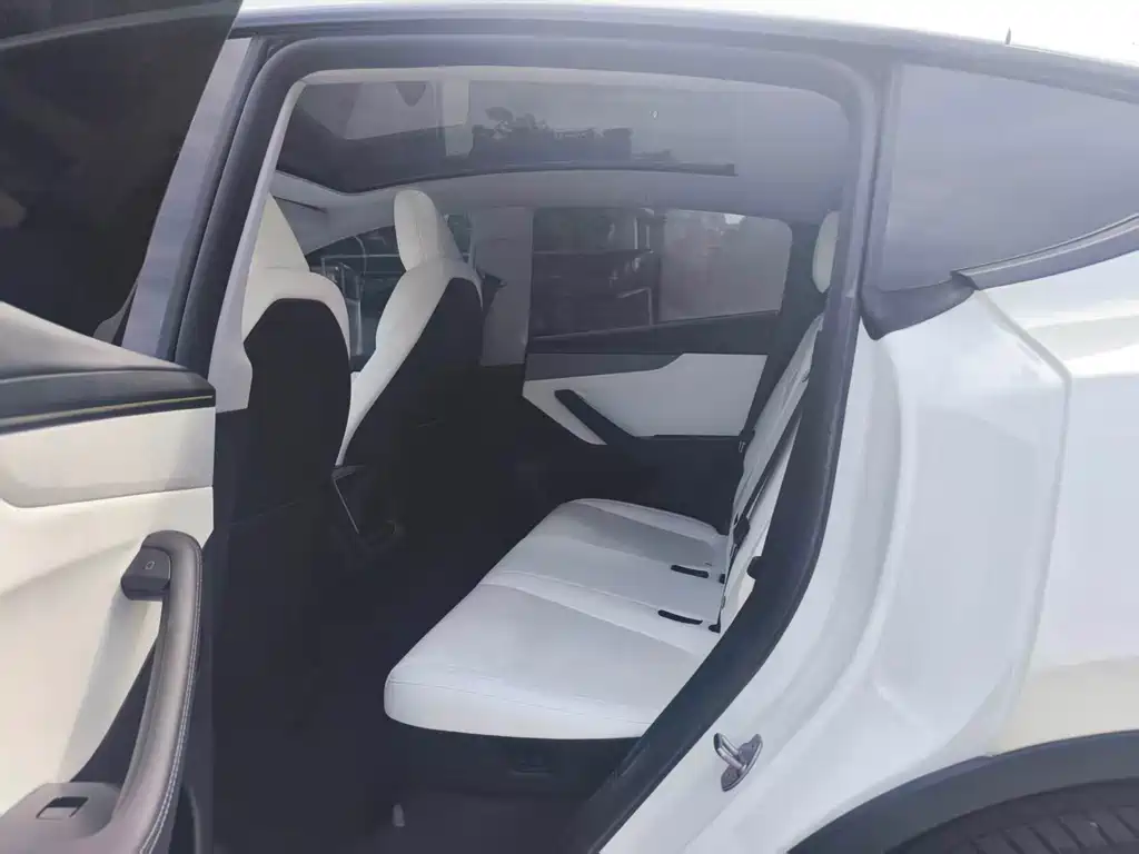 Tesla Model Y — миниатюра 5