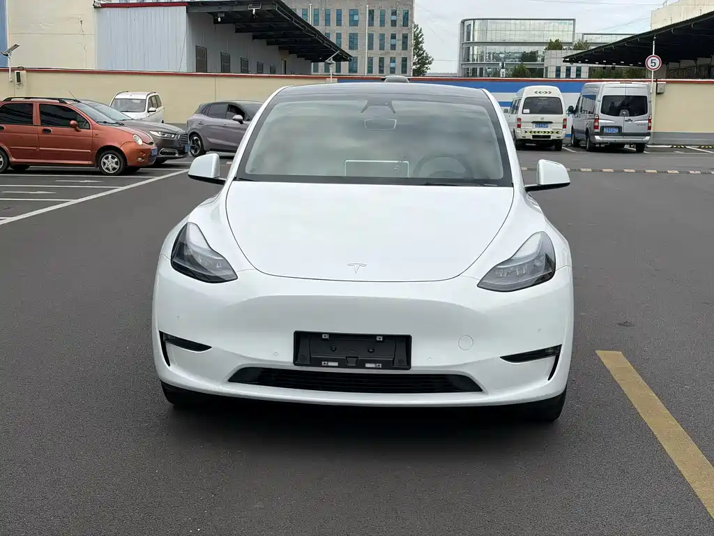 Tesla Model Y — миниатюра 2