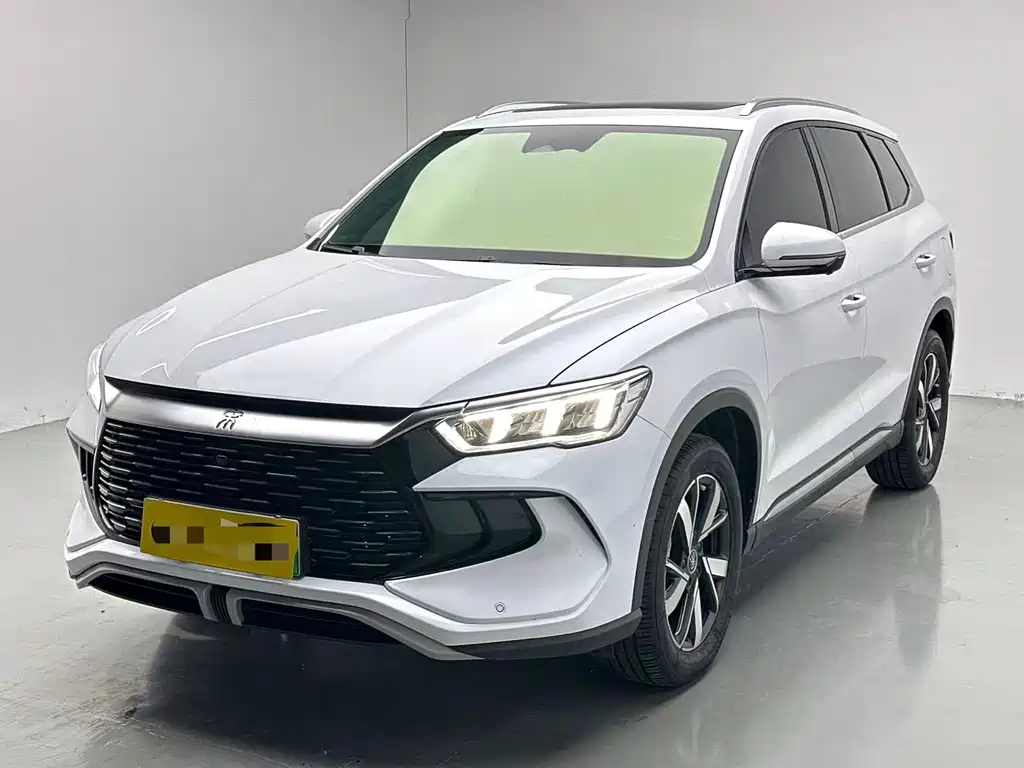 BYD Pro New Energy
