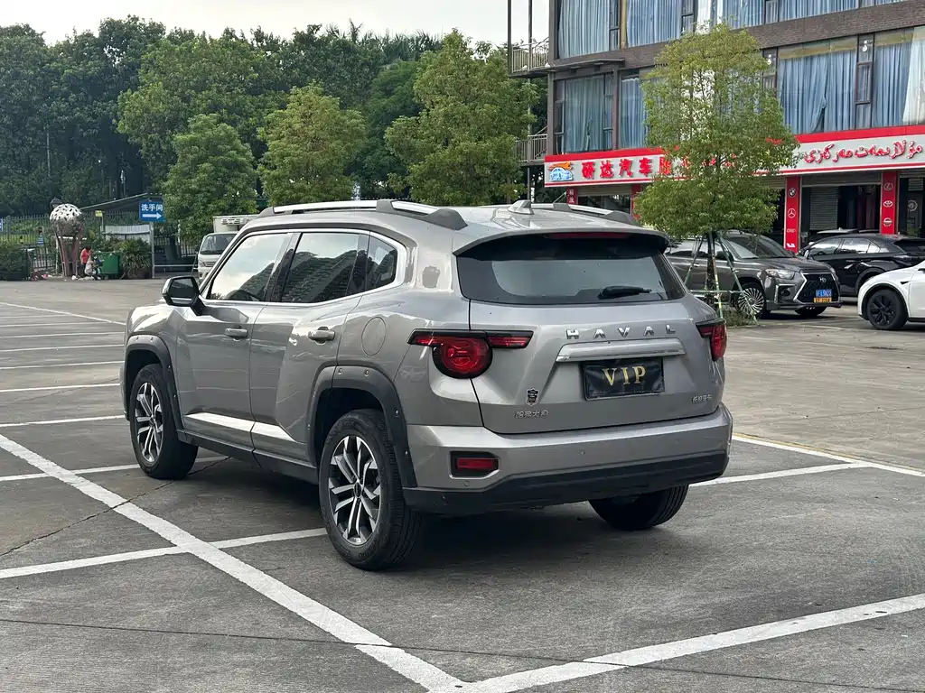 Haval Big Dog PLUS — миниатюра 29