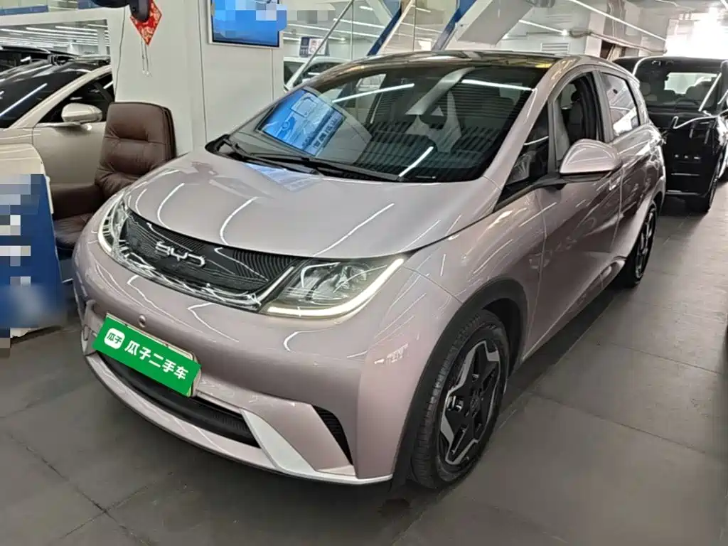 BYD Dolphin — миниатюра 2
