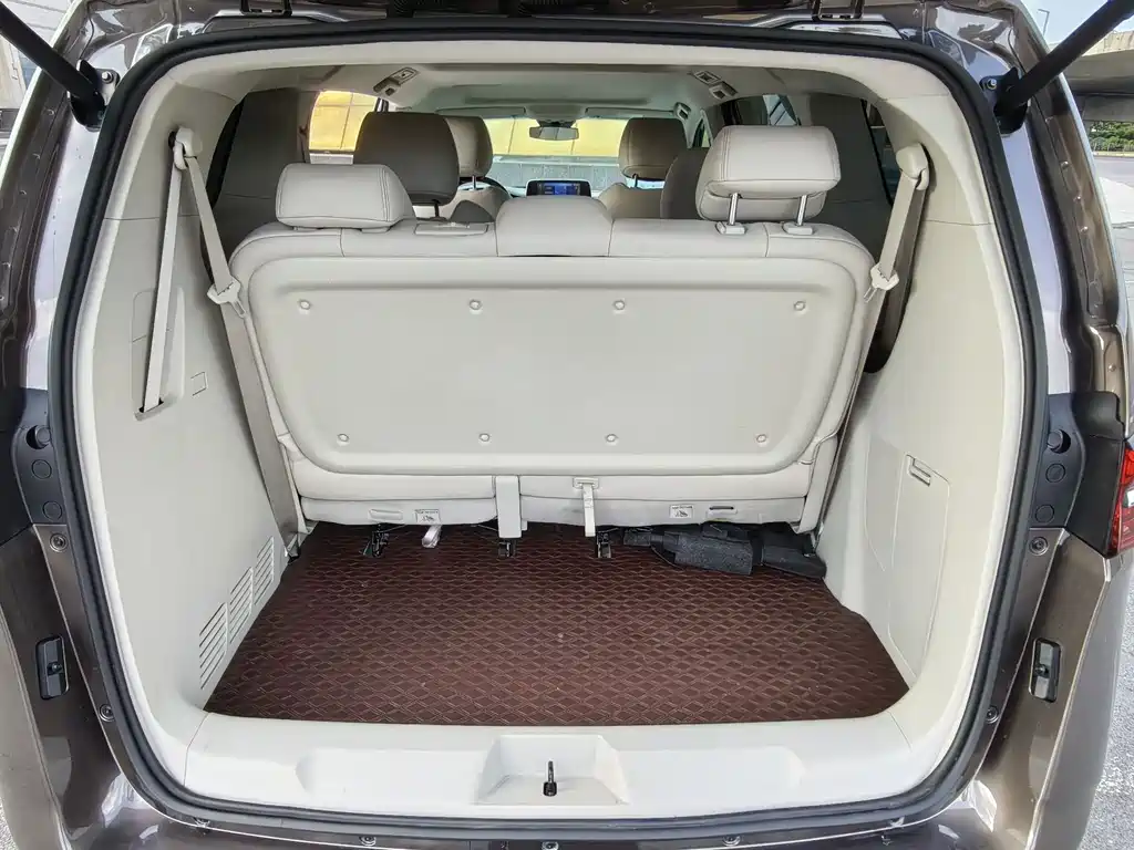 Buick GL8 — миниатюра 13