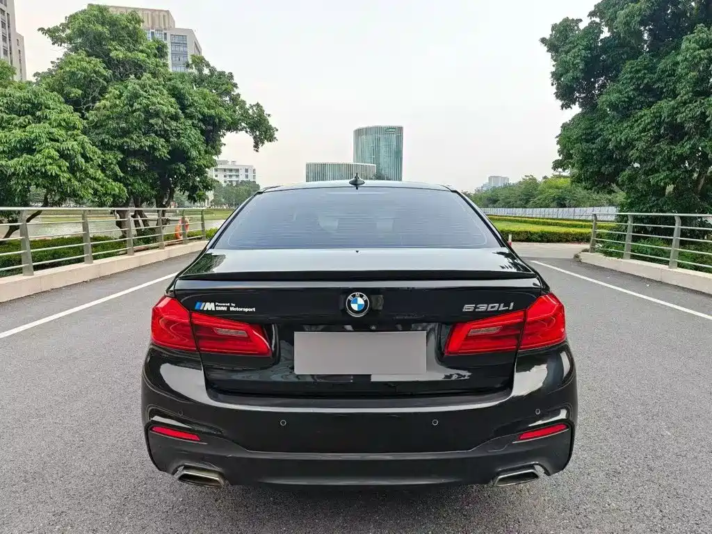 BMW 5 Series — миниатюра 8