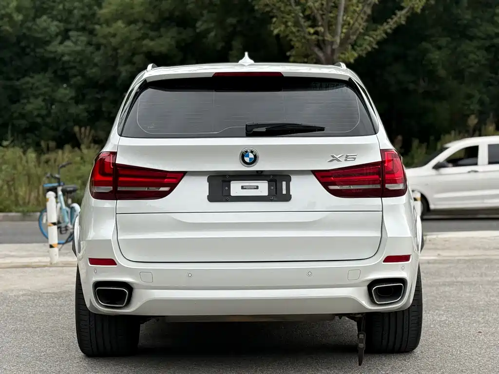 BMW X5 (Import) — миниатюра 5