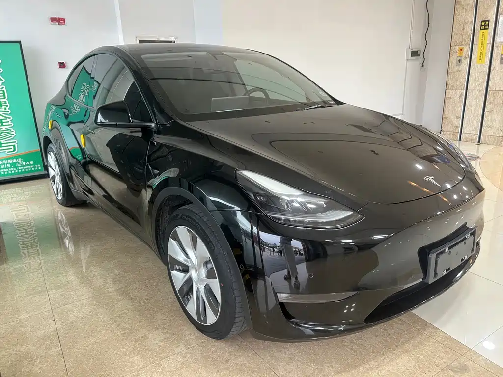 Tesla Model Y — миниатюра 3