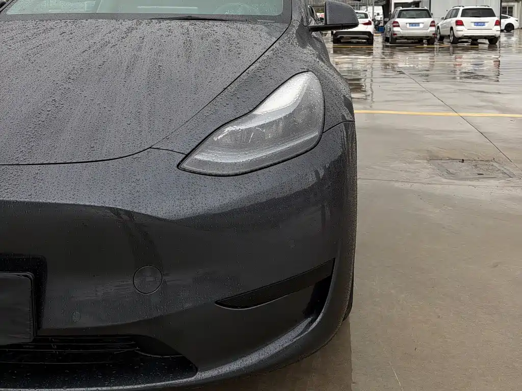 Tesla Model Y — миниатюра 4