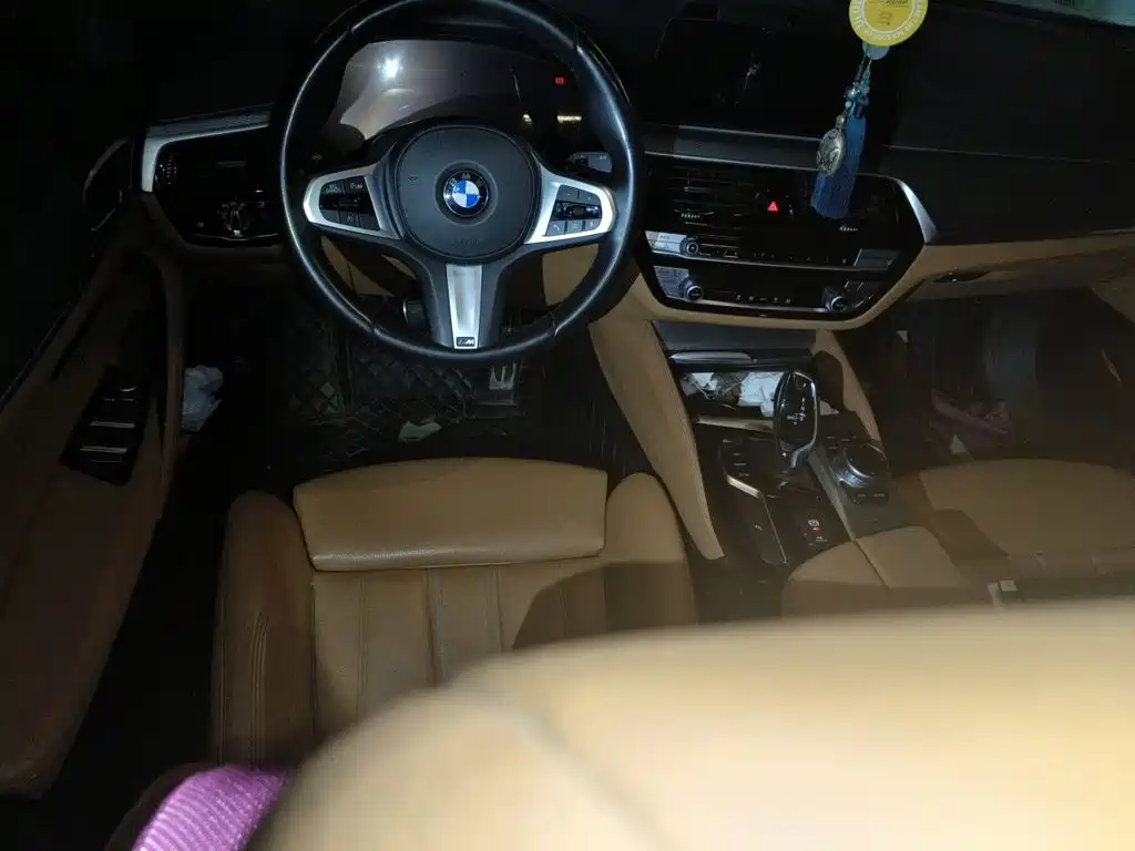BMW 5 Series (Import) — миниатюра 6